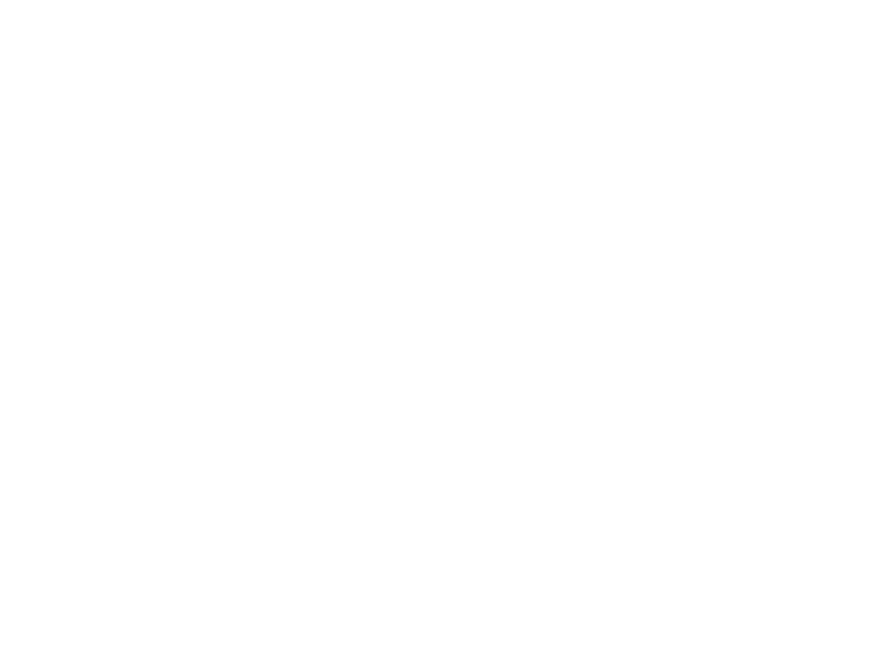 Project Manager Blueprint